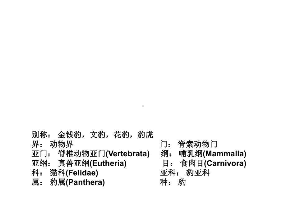 幼儿园大班科学《动物介绍》课件.ppt_第3页