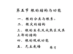 根的结构与功能课件.ppt