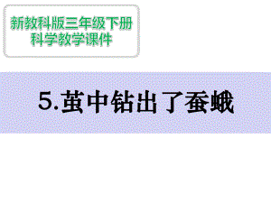 新教科版科学三下25茧中钻出了蚕蛾课件.ppt