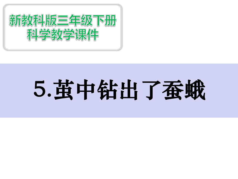 新教科版科学三下25茧中钻出了蚕蛾课件.ppt_第1页