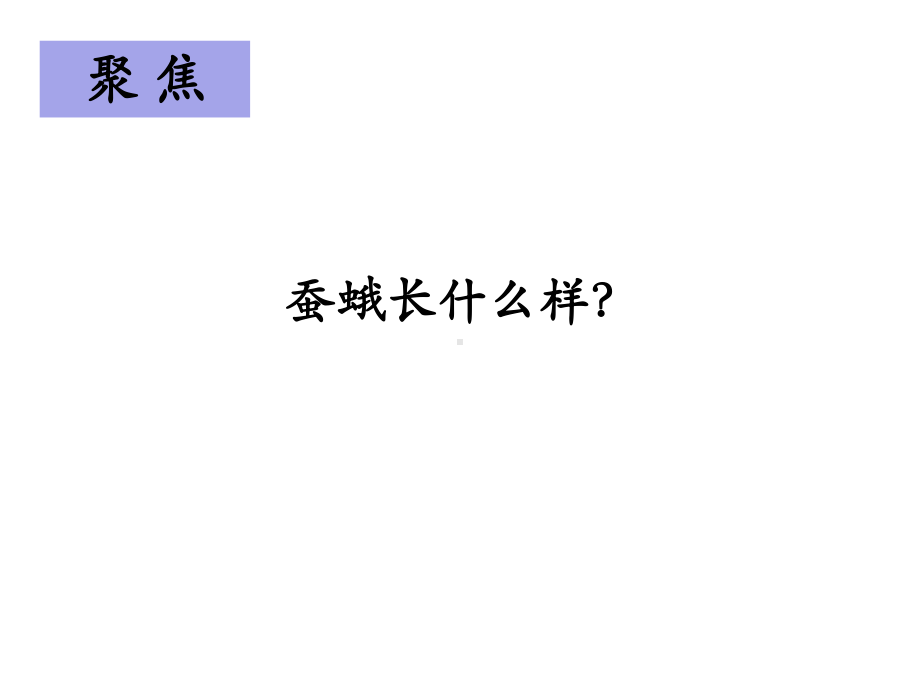 新教科版科学三下25茧中钻出了蚕蛾课件.ppt_第3页