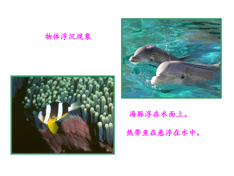 沪科版：八年级物理《物体的浮与沉》课件.ppt_第3页