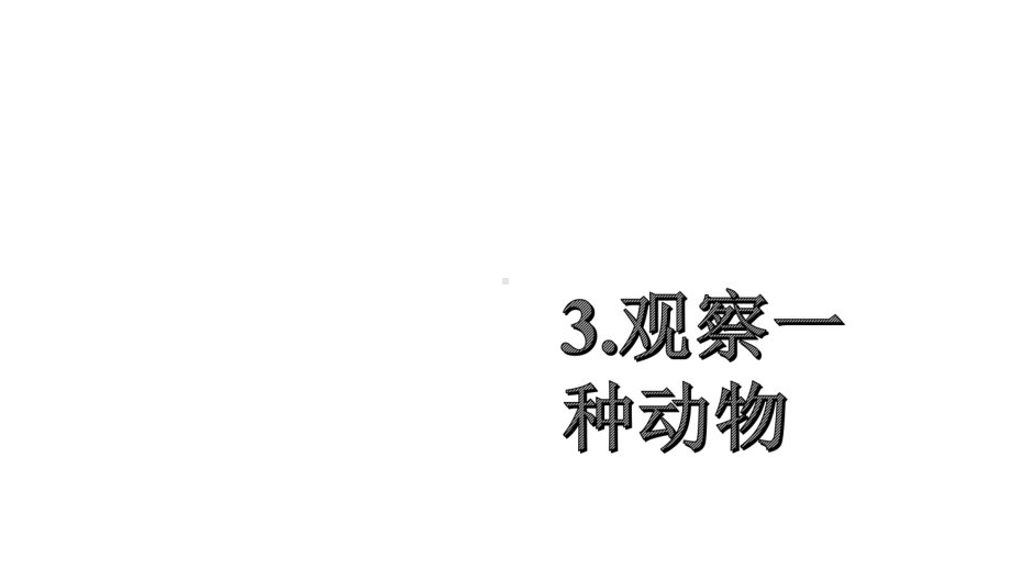 教科版科学一年级下册：23观察一种动物(课件).pptx_第2页