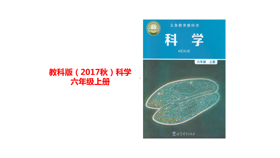 教科版科学六上-不简单的杠杆-课件.pptx_第1页