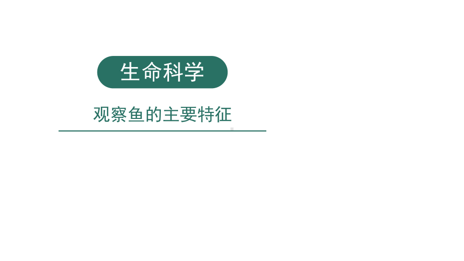 小学科学实验之生命科学：观察鱼的主要特征课件.pptx_第1页