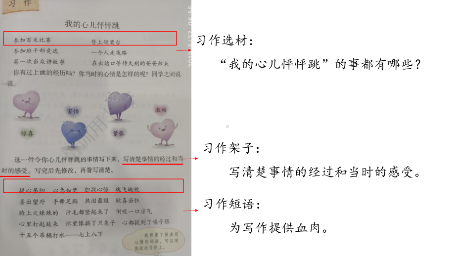 我的心儿怦怦跳文本解读0714课件.pptx_第3页