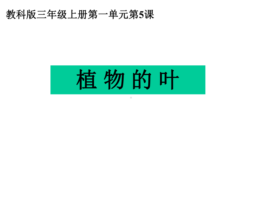 教科版科学课件：15植物的叶课件（课件）.ppt_第1页