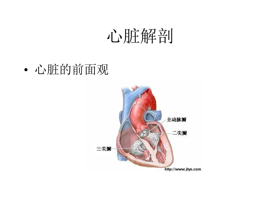 医学心电图诊断讲座课件.pptx_第3页