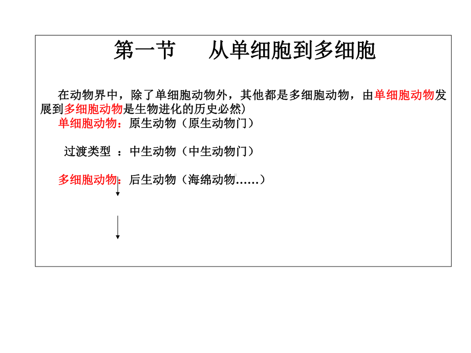 多细胞动物概论课件.pptx_第3页