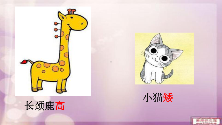 幼儿园大班语言《对比歌》课件.pptx_第3页