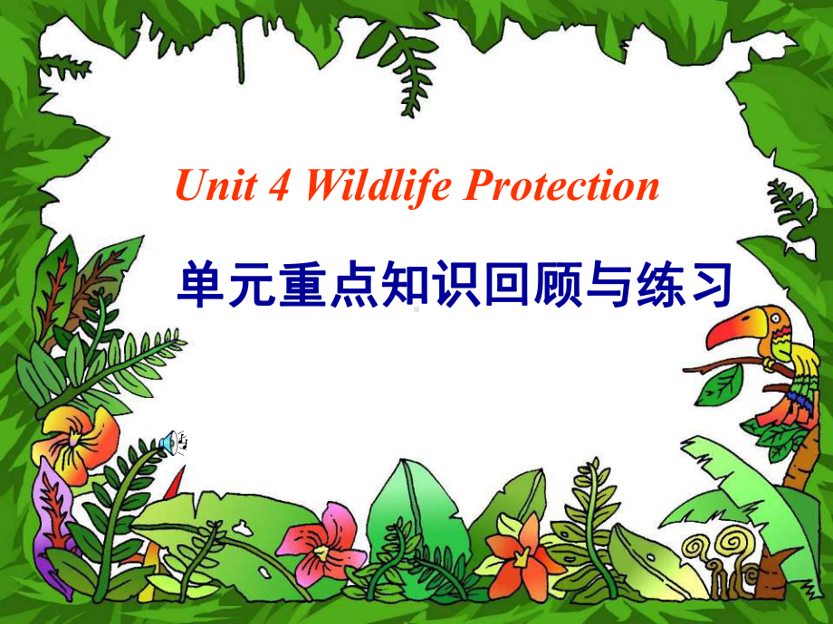 必修2Unit-4Wildlife-protection-单元重点知识回顾与练习课件.ppt--（课件中不含音视频）_第1页