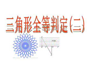 沪科版八年级数学上册142全等三角形的判定2(ASA)课件.ppt