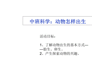 新星幼儿园中班科学《动物是怎样出生的》课件.ppt