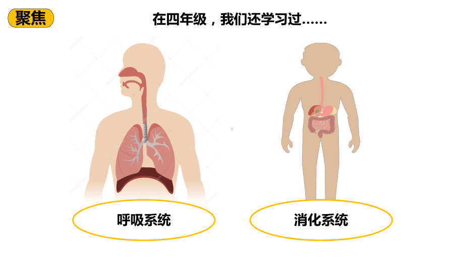 教科版五年级上册制定健康生活计划-课件.pptx_第3页