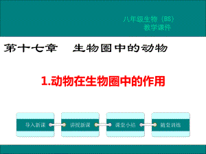 北师大版八年级生物上册第17章-生物圈中的动物-课件.pptx