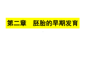 发育生物学课件2cleavage.ppt