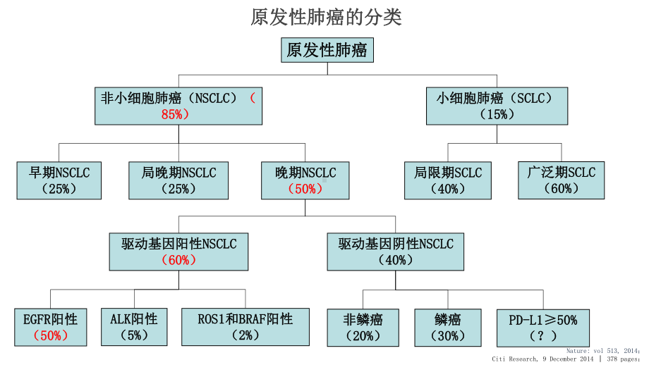 原发性肺癌治疗指南解读课件.ppt_第2页