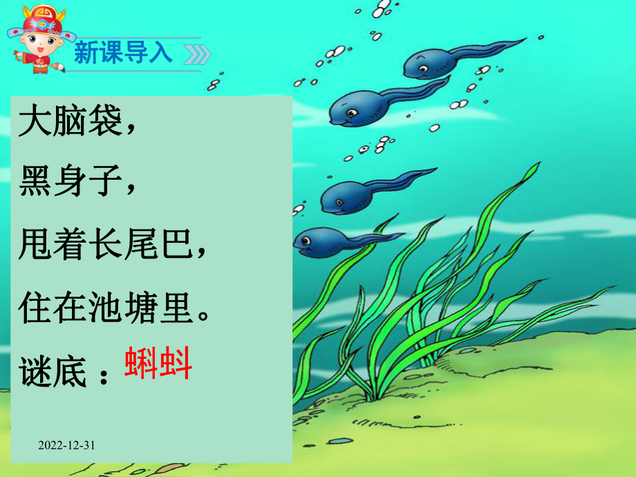 小蝌蚪找妈妈课件-2.ppt_第1页