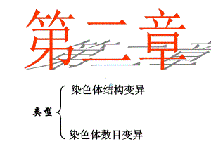 染色体数目结构变异课件.ppt