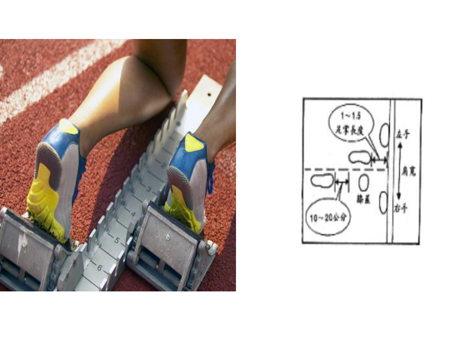 小学体育《蹲踞式起跑》教学课件.ppt_第3页