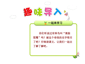 我叫黑脸琵鹭课件苏教版.ppt