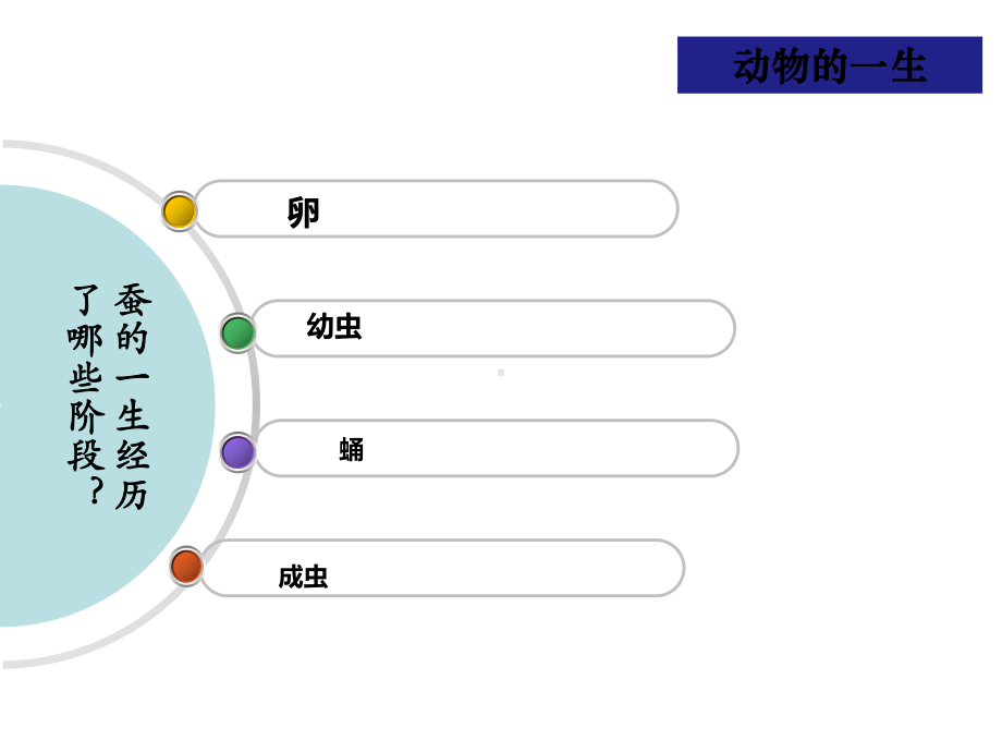 教科版小学科学新版三年级下册科学动物的一生课件.pptx_第2页