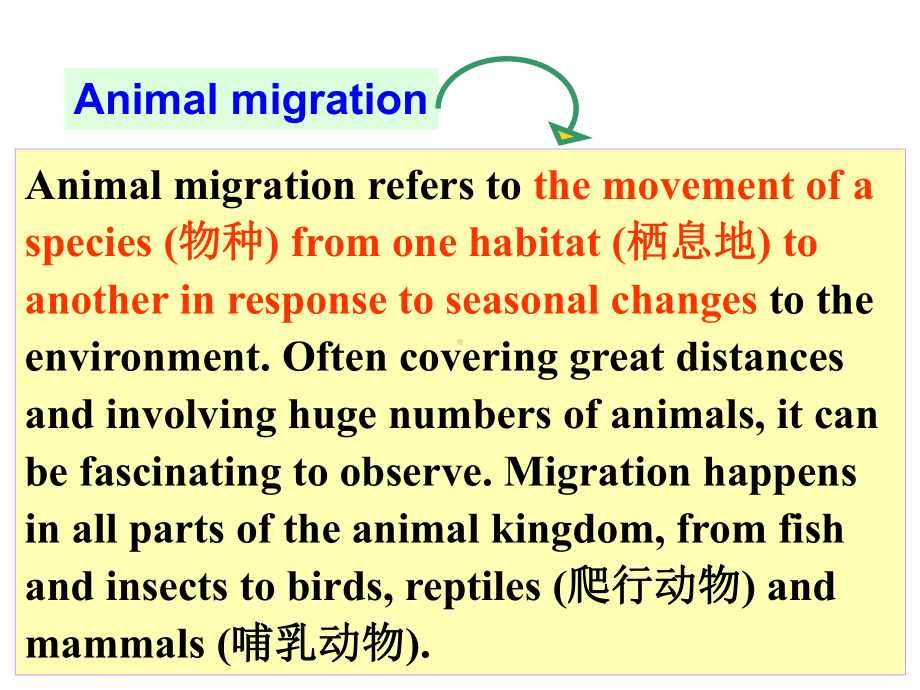 新外研必修一-Unit5-Understanding-ideas阅读理解+语言点课件.ppt-(课件无音视频)_第3页