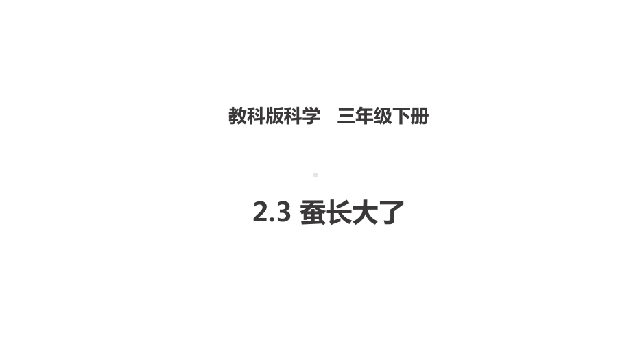 新教科版三下科学23-蚕长大了(课件).ppt_第1页