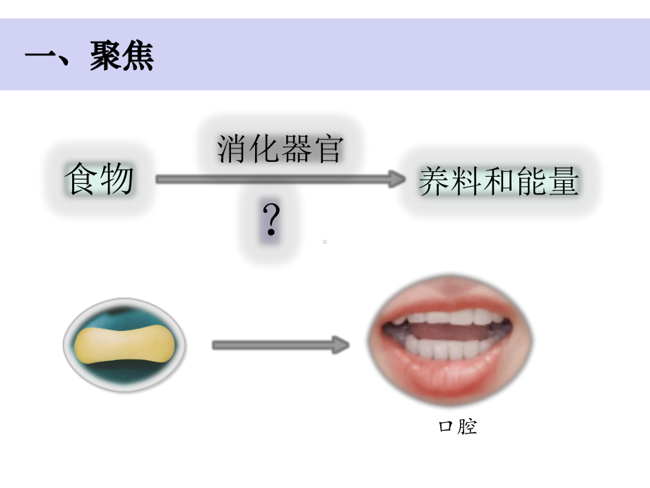 教科版小学科学新版四年级上册科学2-7《食物在口腔里的变化》课件.pptx_第3页