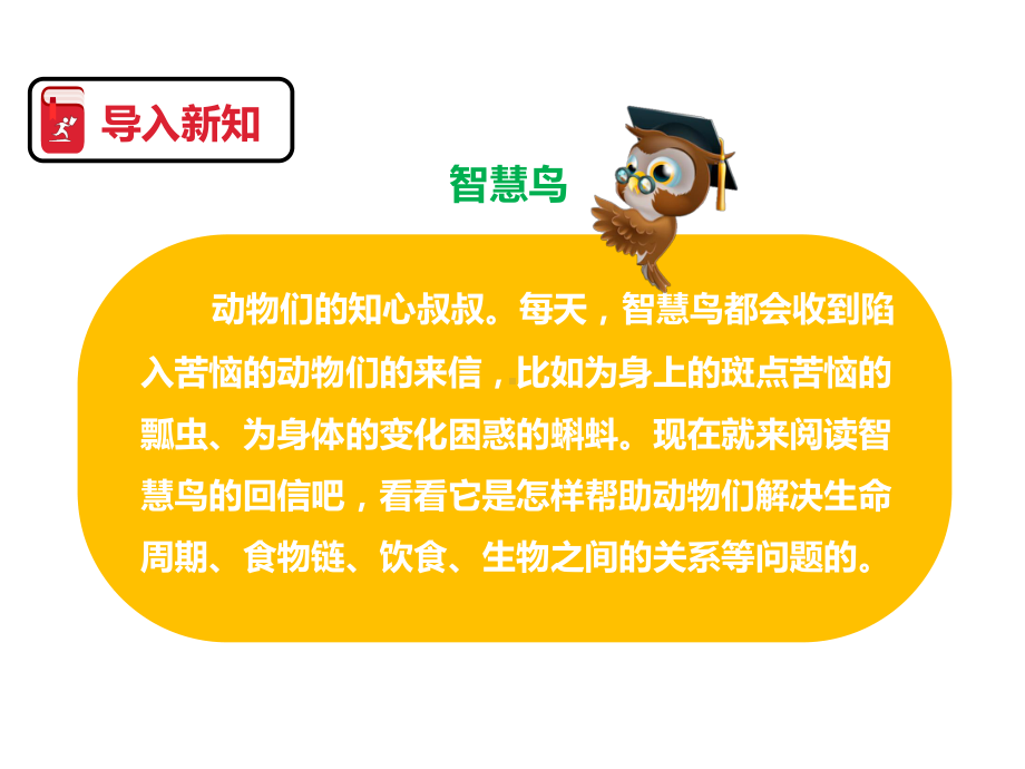 新版苏教版语文二年级下册第十七课-智慧鸟信箱(课件)课件.pptx_第3页