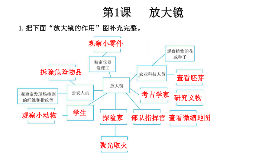 教科版小学科学六年级下册科学第一单元复习课件.pptx_第2页