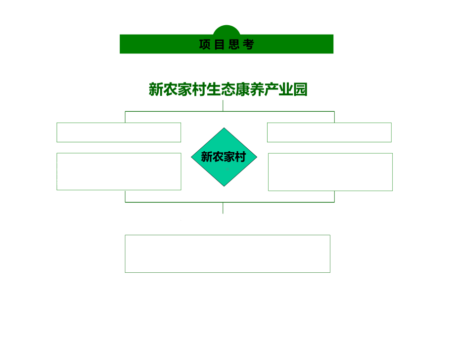 新农村生态康养产业园概念性方案.pptx_第2页