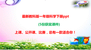 发现物体的特征课件(教科版一年级科学下册).pptx