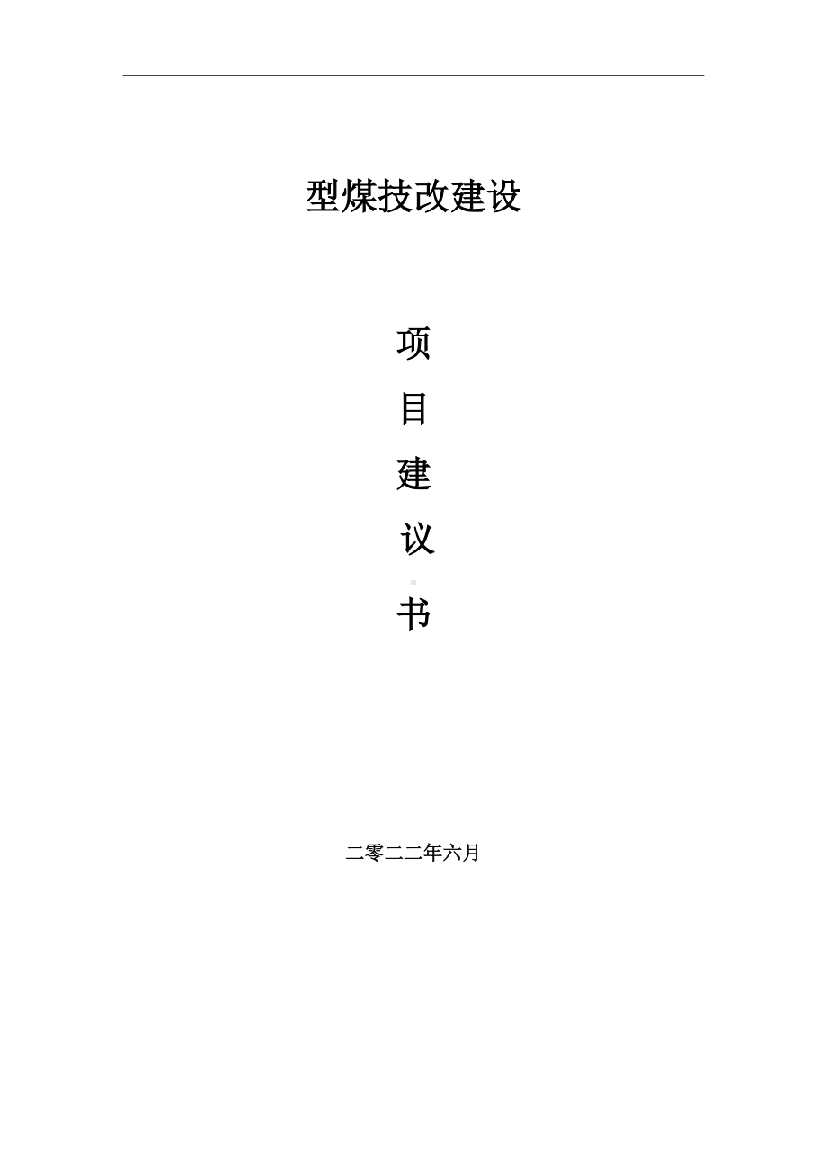 型煤技改项目建议书（写作模板）.doc_第1页