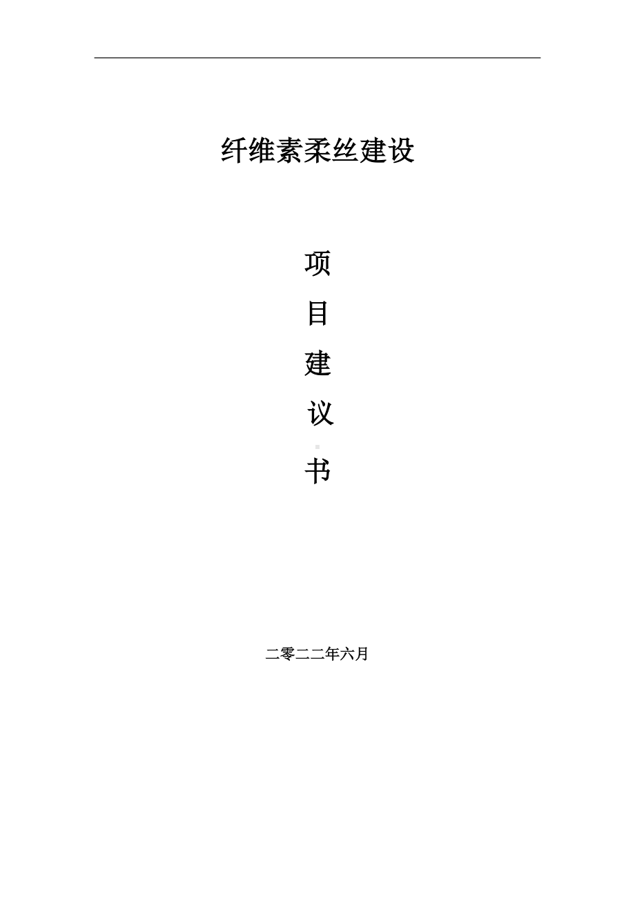 纤维素柔丝项目建议书（写作模板）.doc_第1页