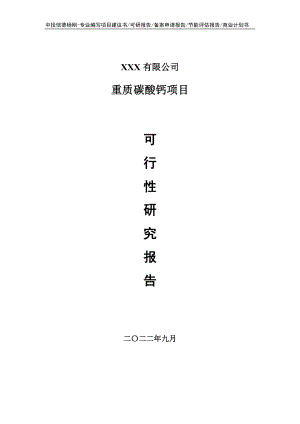 重质碳酸钙生产项目可行性研究报告申请建议书.doc