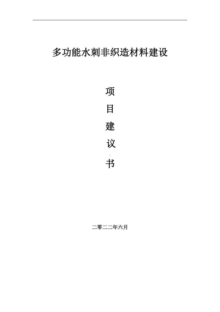 多功能水刺非织造材料项目建议书（写作模板）.doc_第1页