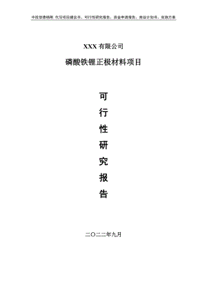 磷酸铁锂正极材料项目可行性研究报告建议书.doc