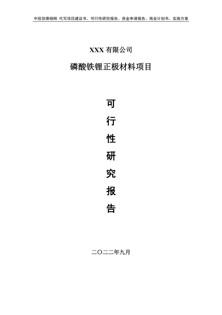 磷酸铁锂正极材料项目可行性研究报告建议书.doc_第1页