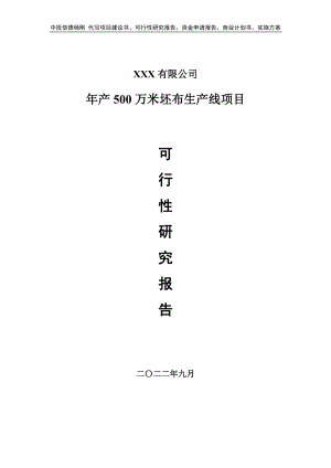 年产500万米坯布生产线可行性研究报告建议书.doc