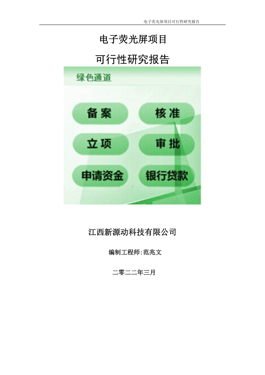 电子荧光屏项目可行性研究报告-申请建议书用可修改样本.doc_第1页