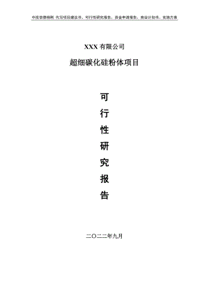 超细碳化硅粉体项目可行性研究报告建议书.doc