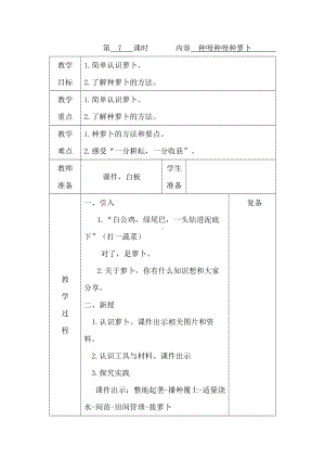 第7课 种呀种呀种萝卜 教案-鄂教版三年级上册《劳动教育》.docx