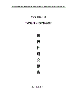 二次电池正极材料项目可行性研究报告建议书.doc