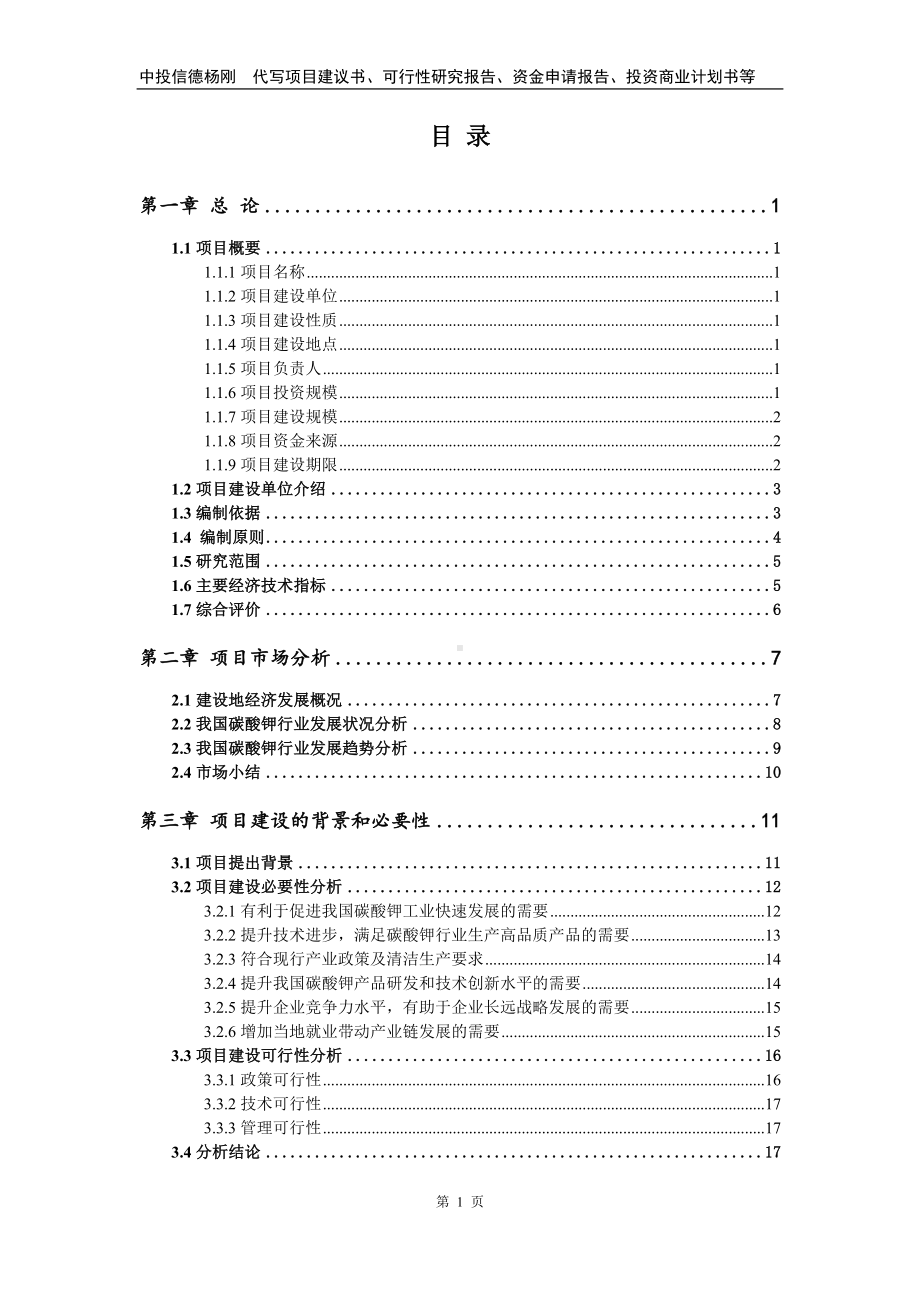 碳酸钾项目可行性研究报告建议书.doc_第2页