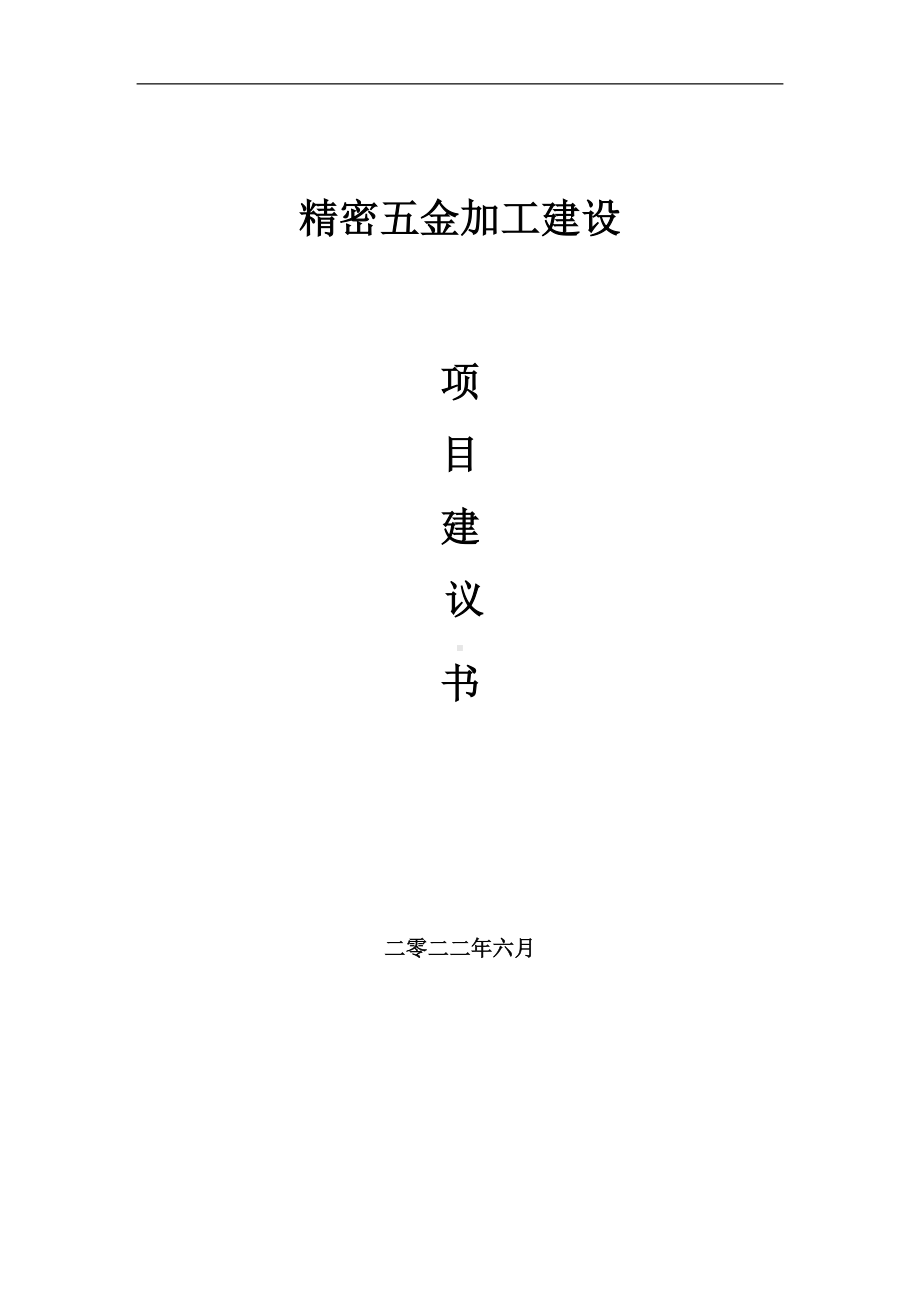 精密五金加工项目建议书（写作模板）.doc_第1页