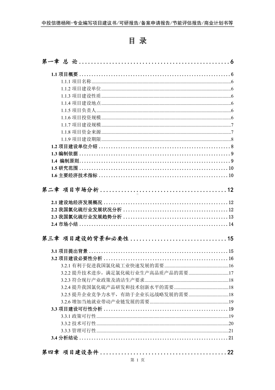 氯化硫项目可行性研究报告申请立项.doc_第2页