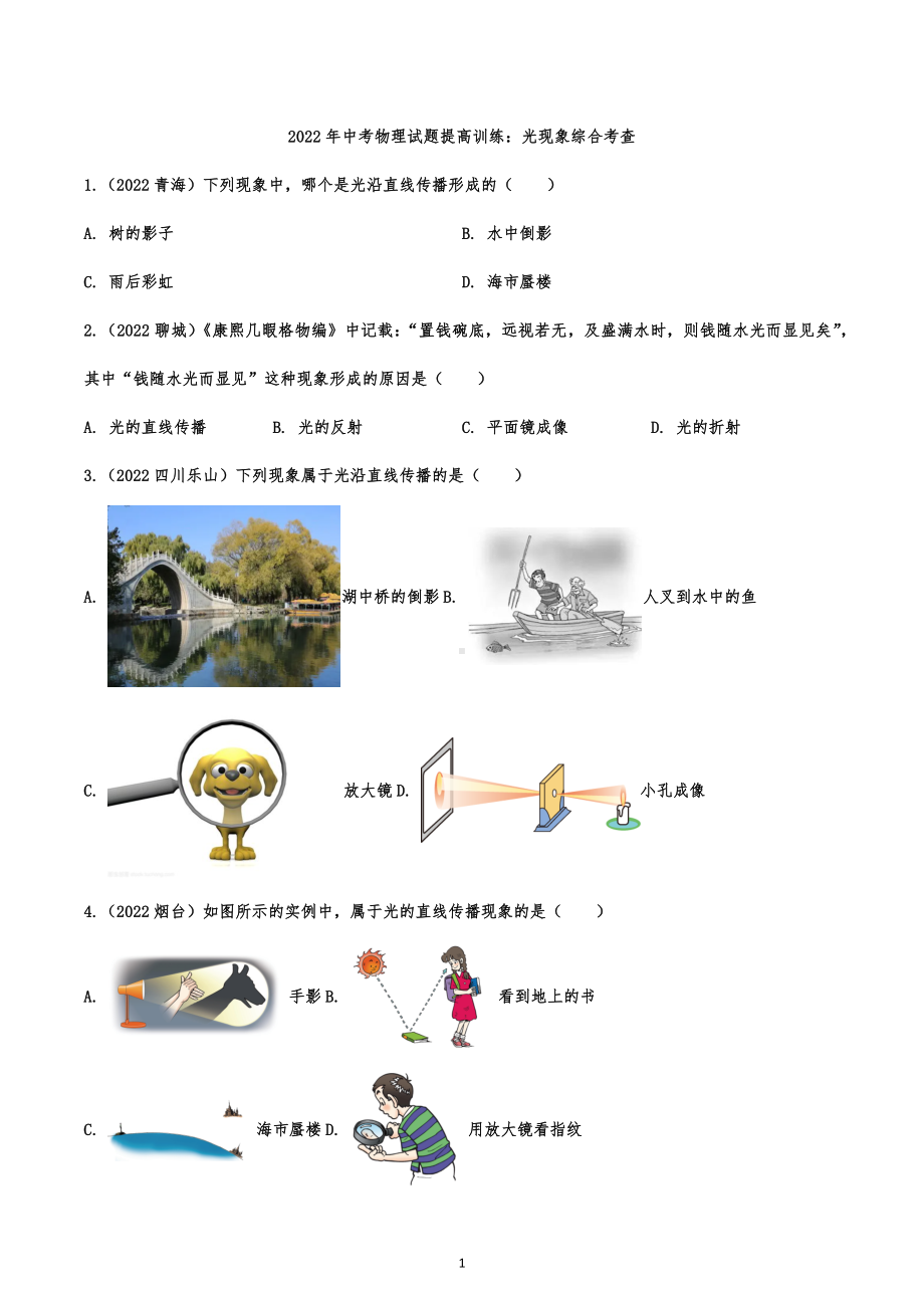 2022年中考物理试题提高训练：光现象综合考查.docx_第1页