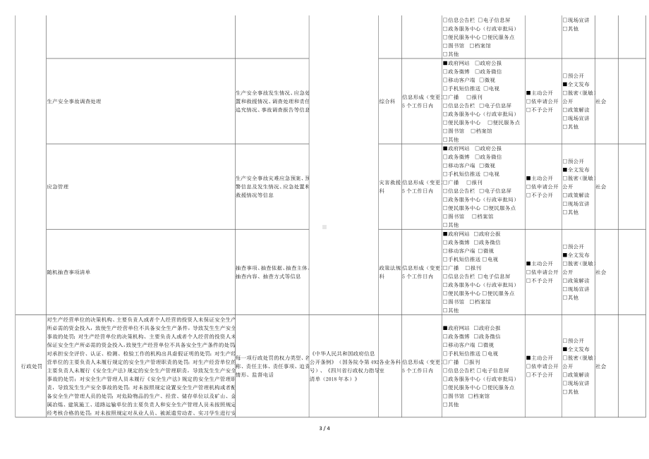 市应急管理局政府信息主动公开基本目录参考模板范本.doc_第3页