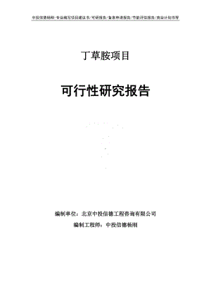 丁草胺项目可行性研究报告申请立项.doc